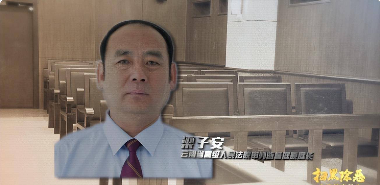 原创原创回顾2019年孙小果案恶霸背后的保护伞最终得到怎样的惩罚