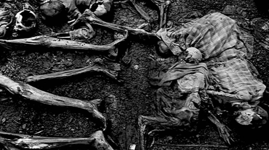 他不只是说说而已,他还这么做了,他将国内的图西人全赶回了卢旺达