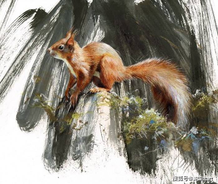 生动有趣的水彩画作/当代画家露西·牛顿(lucy newton)