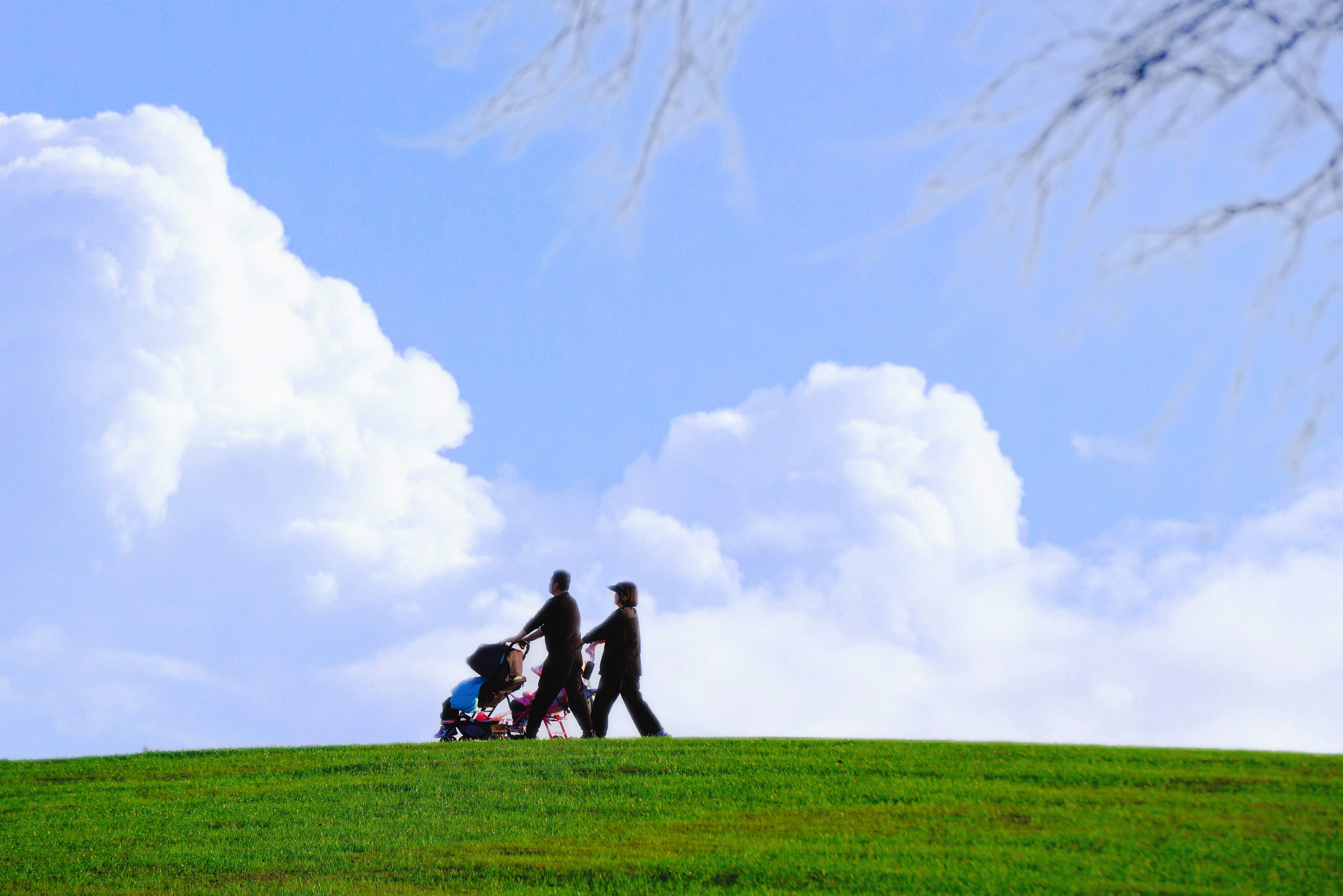 何必远方,武汉人家门口的大草原,木兰草原之旅:诗意的漫步与梦幻的