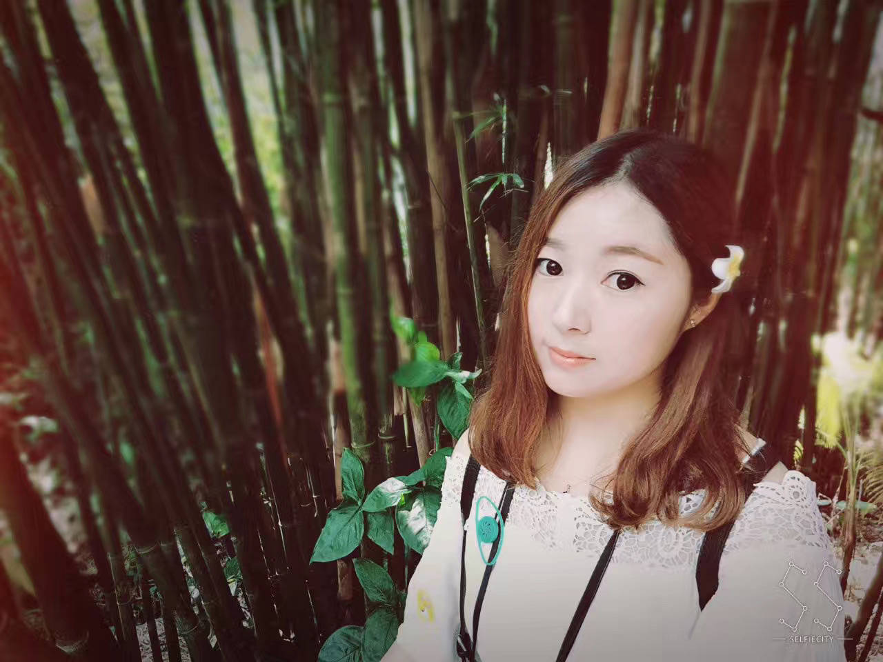 当代著名画家王诗雅