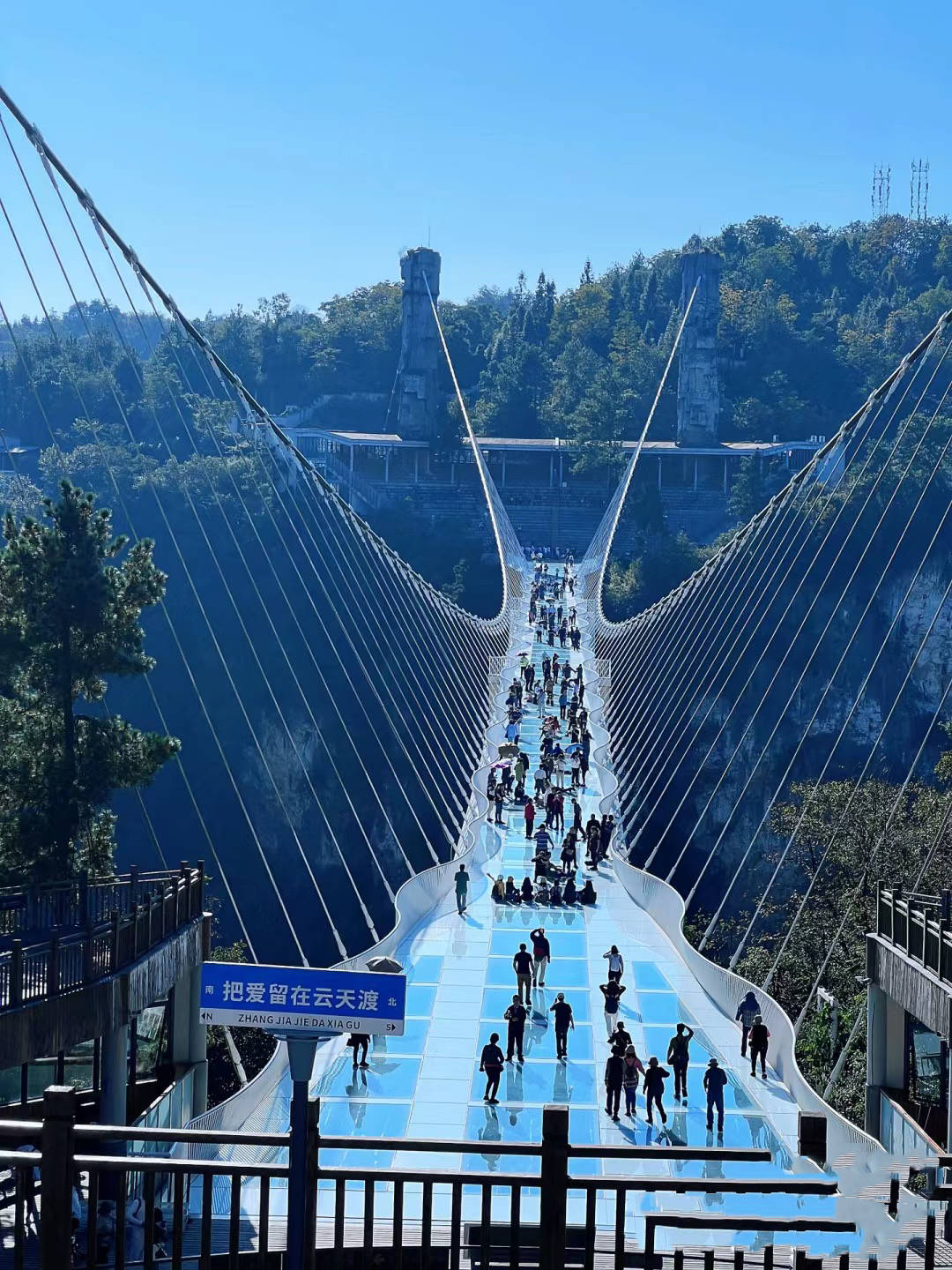 张家界跟团旅游五天四晚如何安排行程比较推荐张家界跟