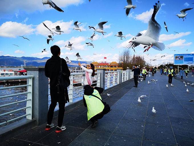 云南旅游双飞七日游价格云南七天旅游攻略景点明细以及亲身经历分享