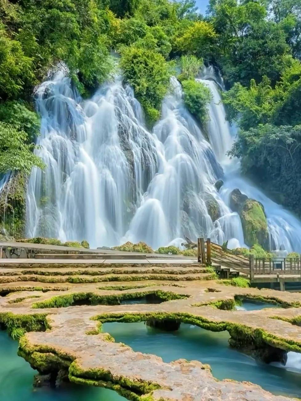 978_1304竖版 竖屏