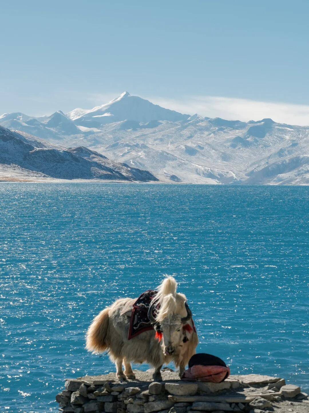 在1980元/人,包括了准四星酒店的住宿,用餐,导游服务以及景区门票等