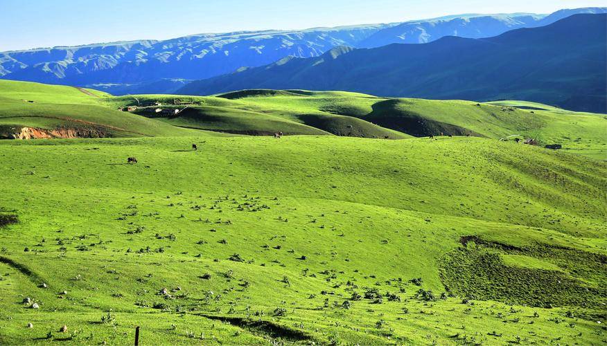 草原>大阪山观景平台>岗什卡雪山(远观)>门源油菜花>黑泉水库>西宁