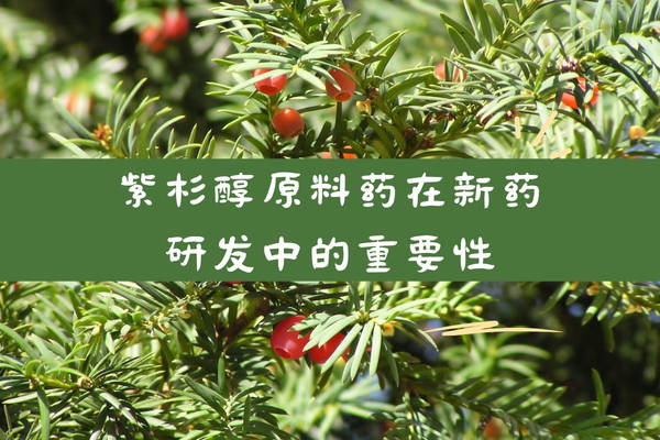 紫杉醇原料药在新药研发中的重要性