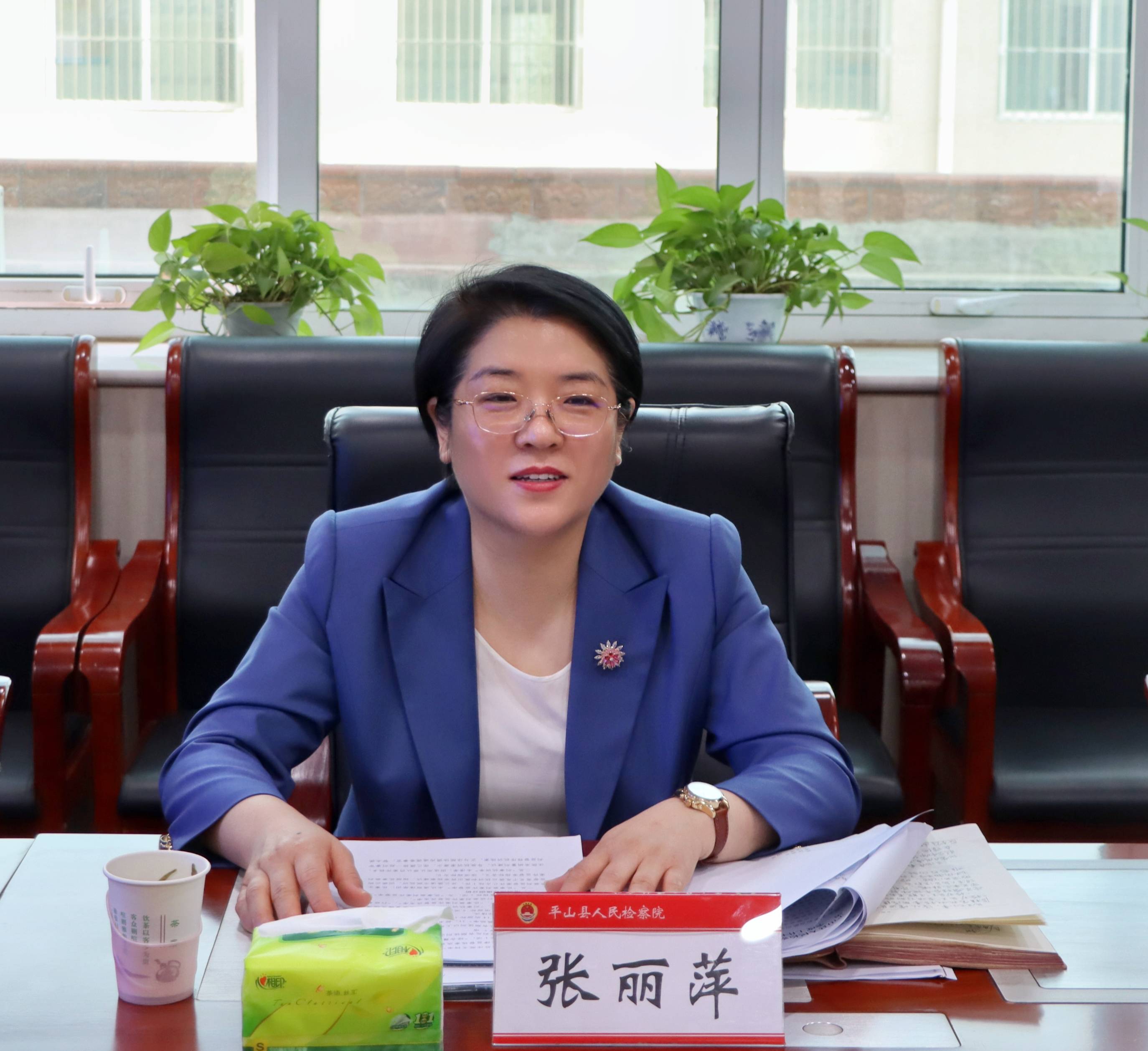 市院领导督导调研平山县人民检察院第一季度重点工作