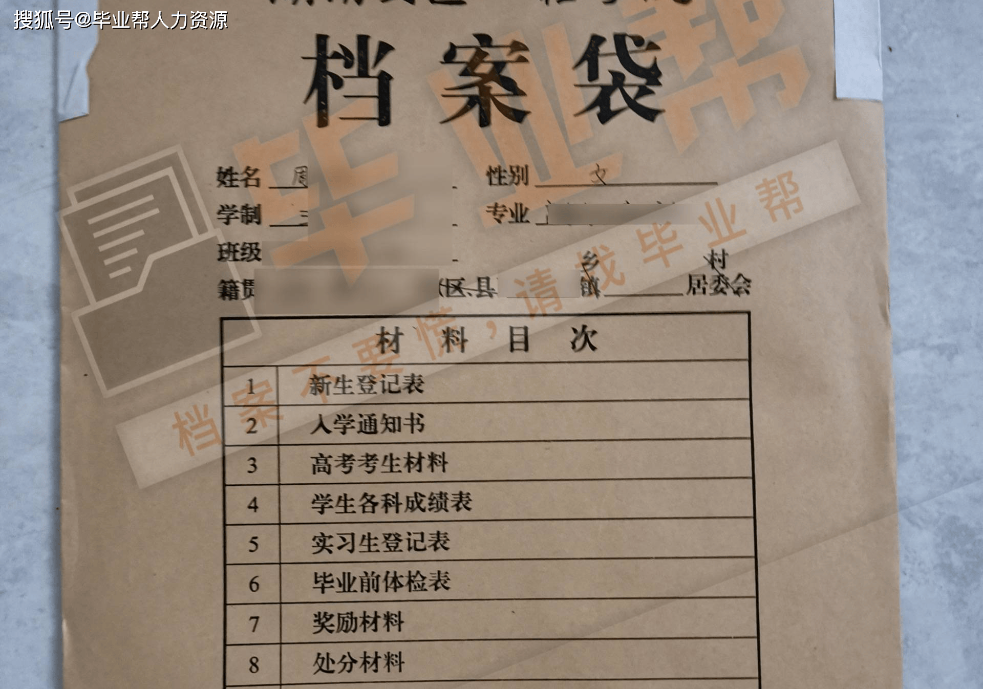 个人档案样子图片