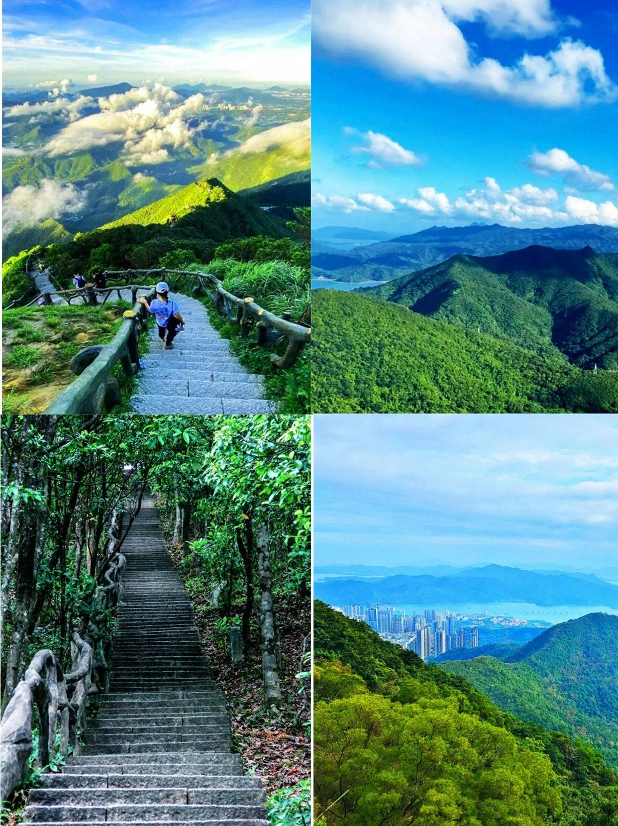 深圳梧桐山位置图片