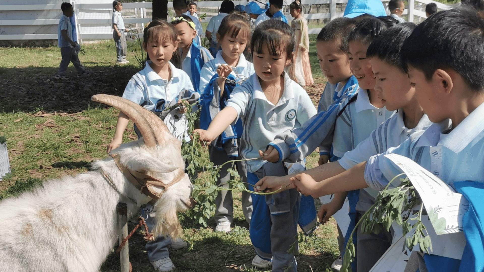 灞桥区热电小学图片