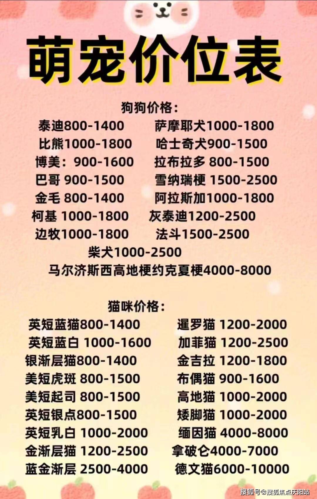 金毛犬_宠物_福安