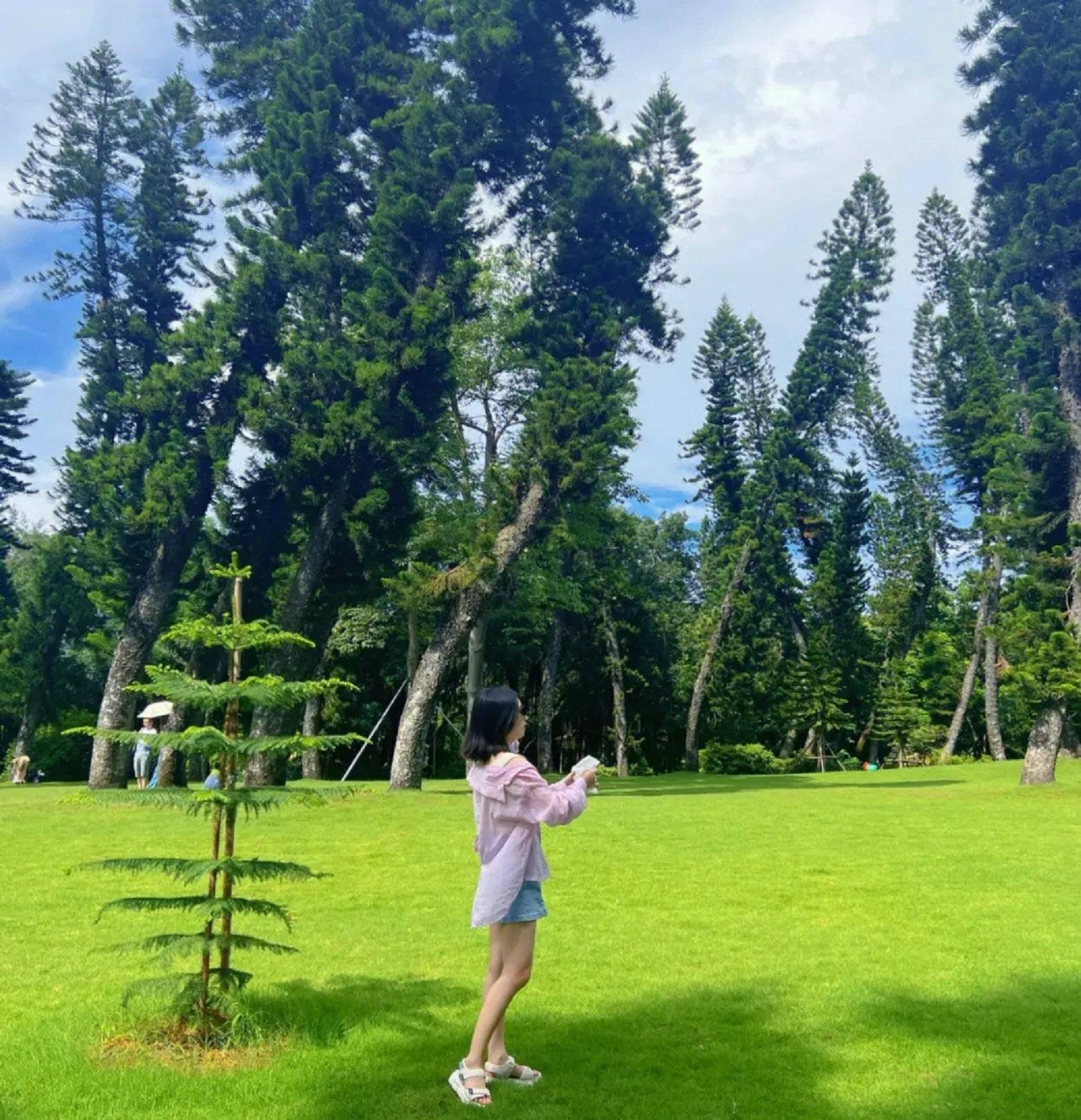 福建旅游4日游旅游团攻略最详细福建旅游4日游旅游团必去景点