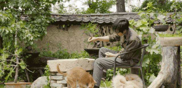 他深山居住7年一身才华却无所事事我不是男版李子柒