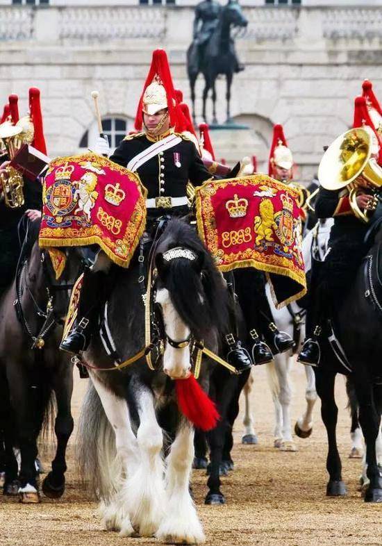 原创挽马不但能跑还跑出了皇家风范是最强80后和沙俄权臣的最爱