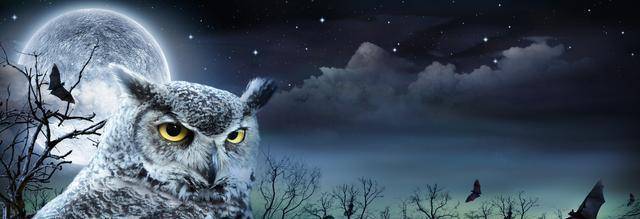 诗经里墓门荆丛男女幽会的描写,见证了古人一种特殊心理变化_猫头鹰