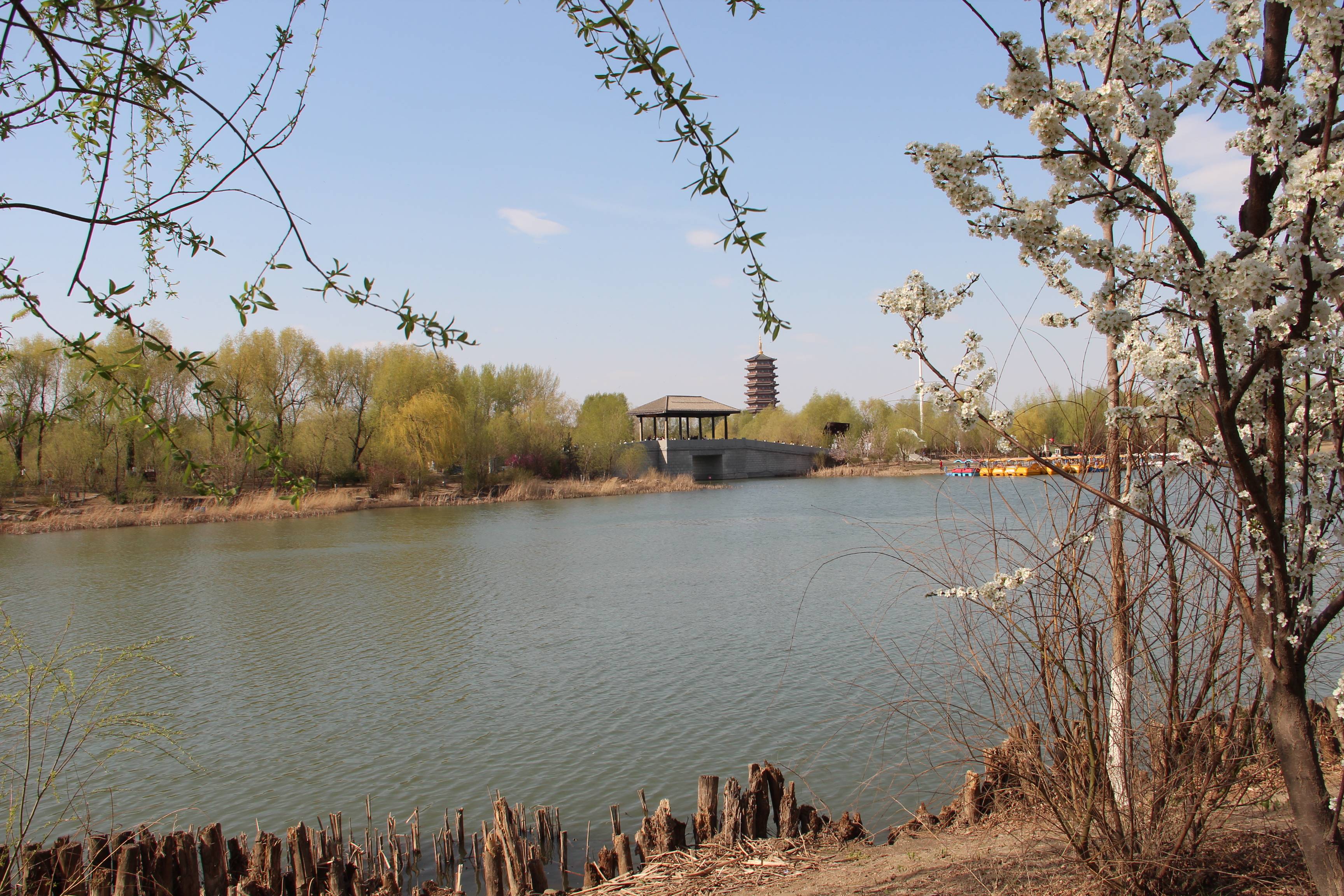 长春北湖公园景点图片