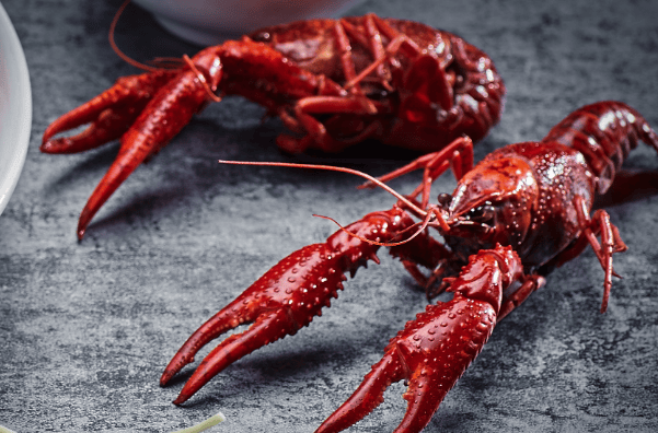 五月份小龙虾价格有望下降至个位数,小龙虾自由的生活快到啦!