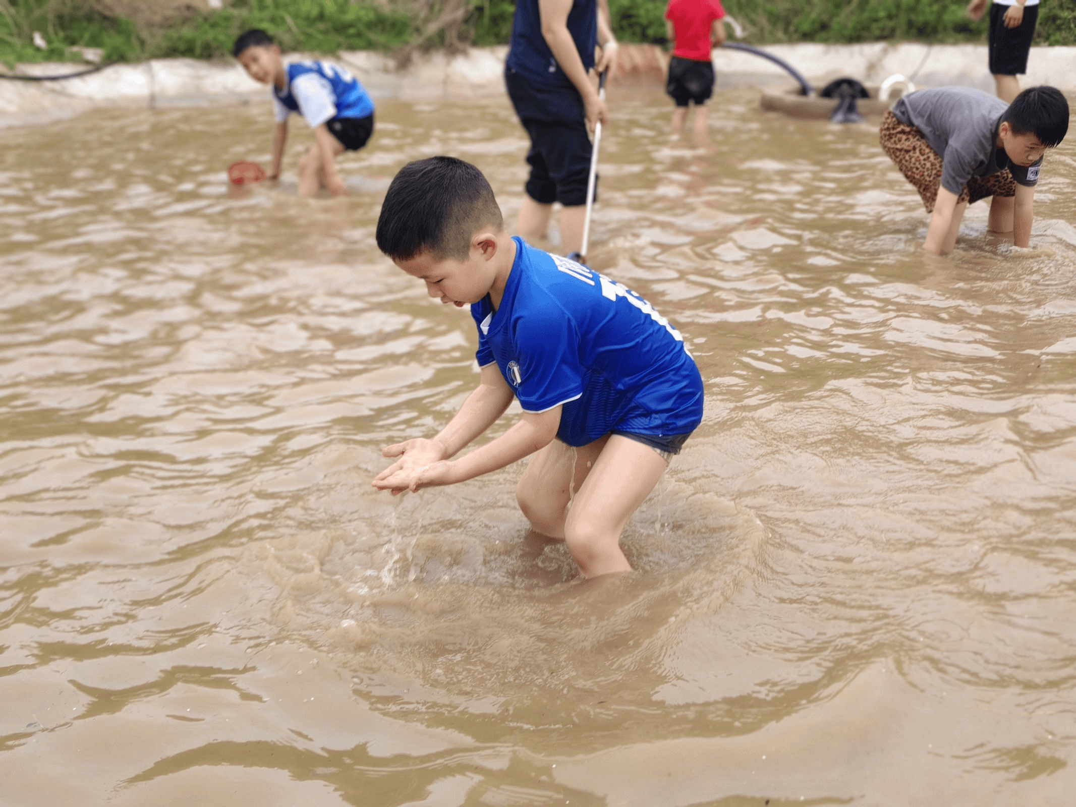 摸摸鱼划划水图片