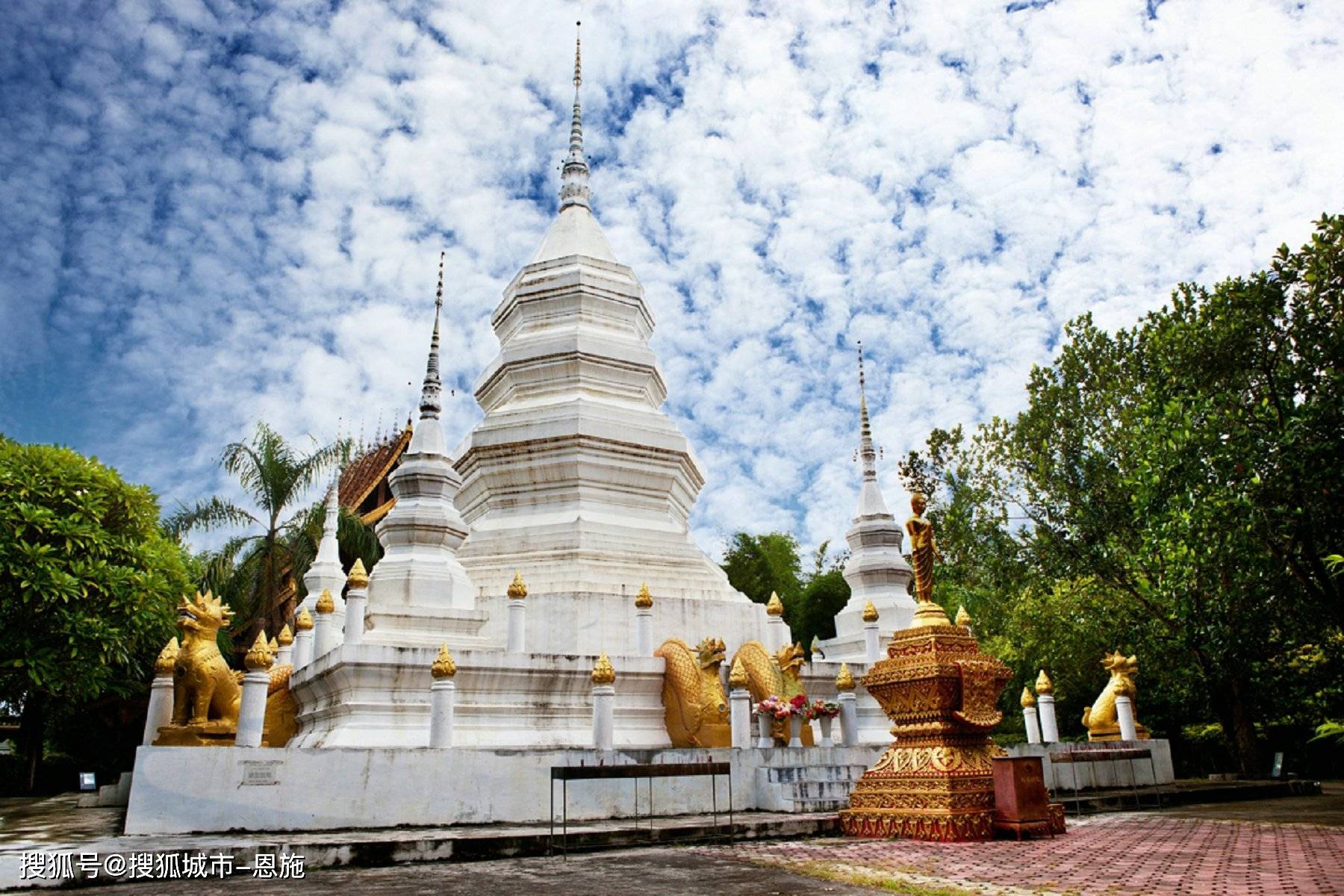 云南西双版纳旅游报团游必去景点,看完就知道了