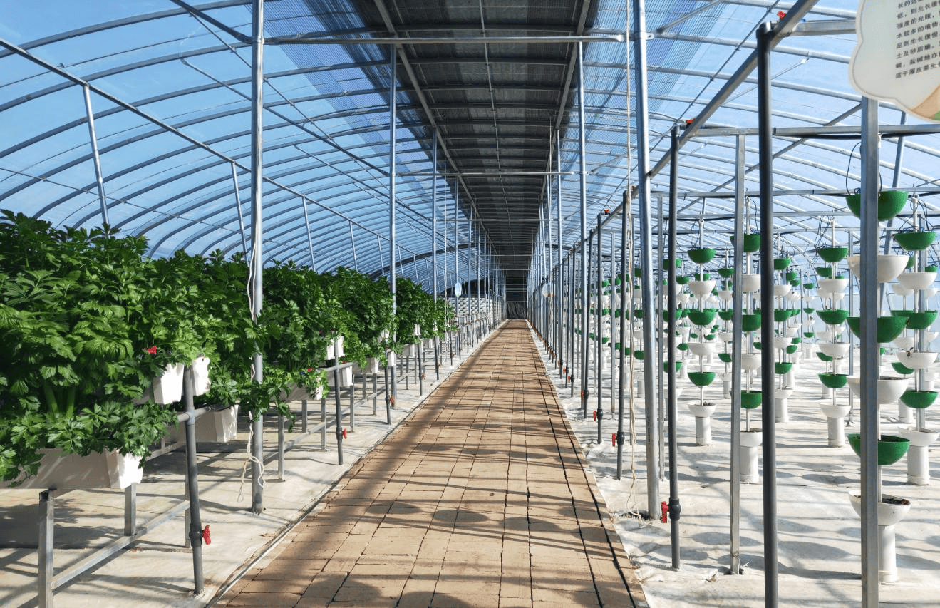 旬邑:科技赋能 蔬菜大棚提质增效