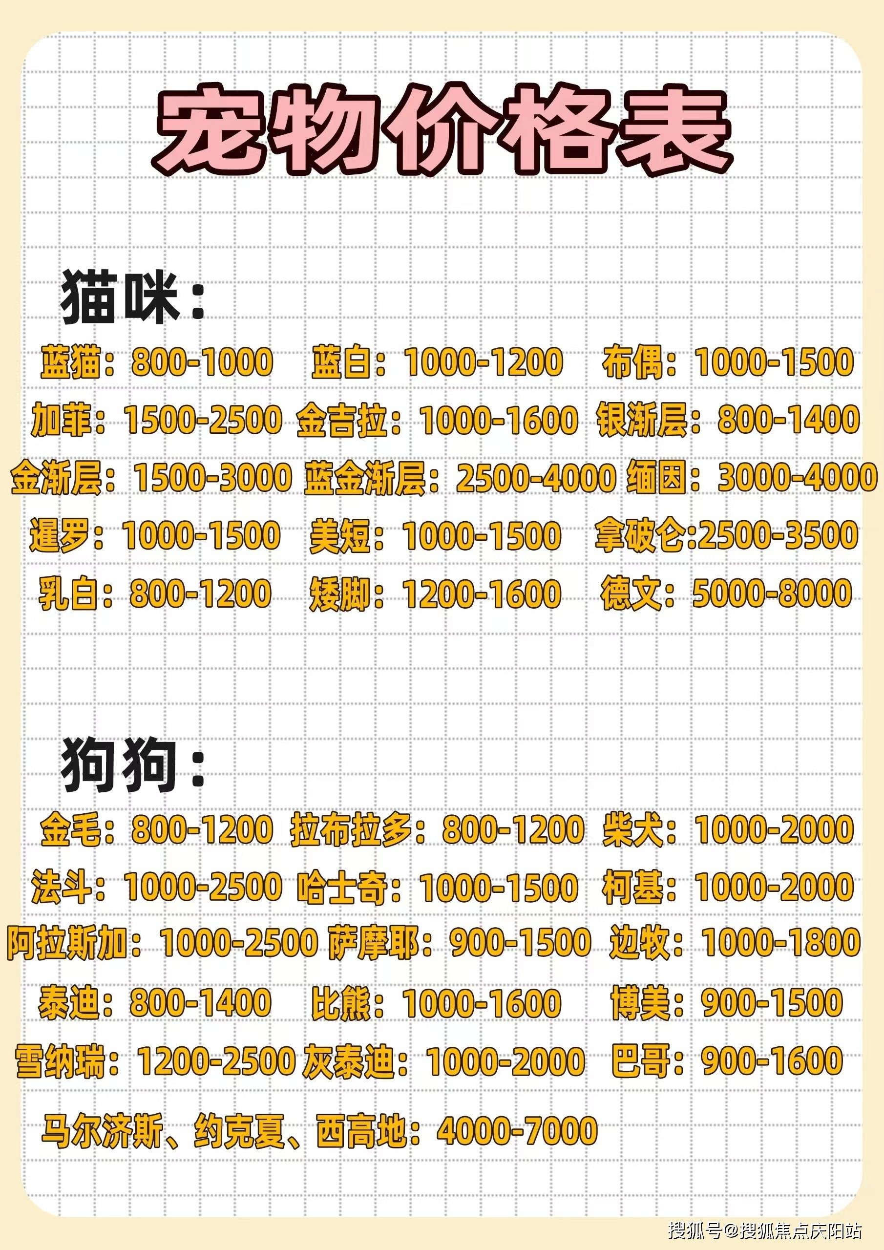 义乌买比熊犬首页网站(义乌)买比熊狗哪里有实体店