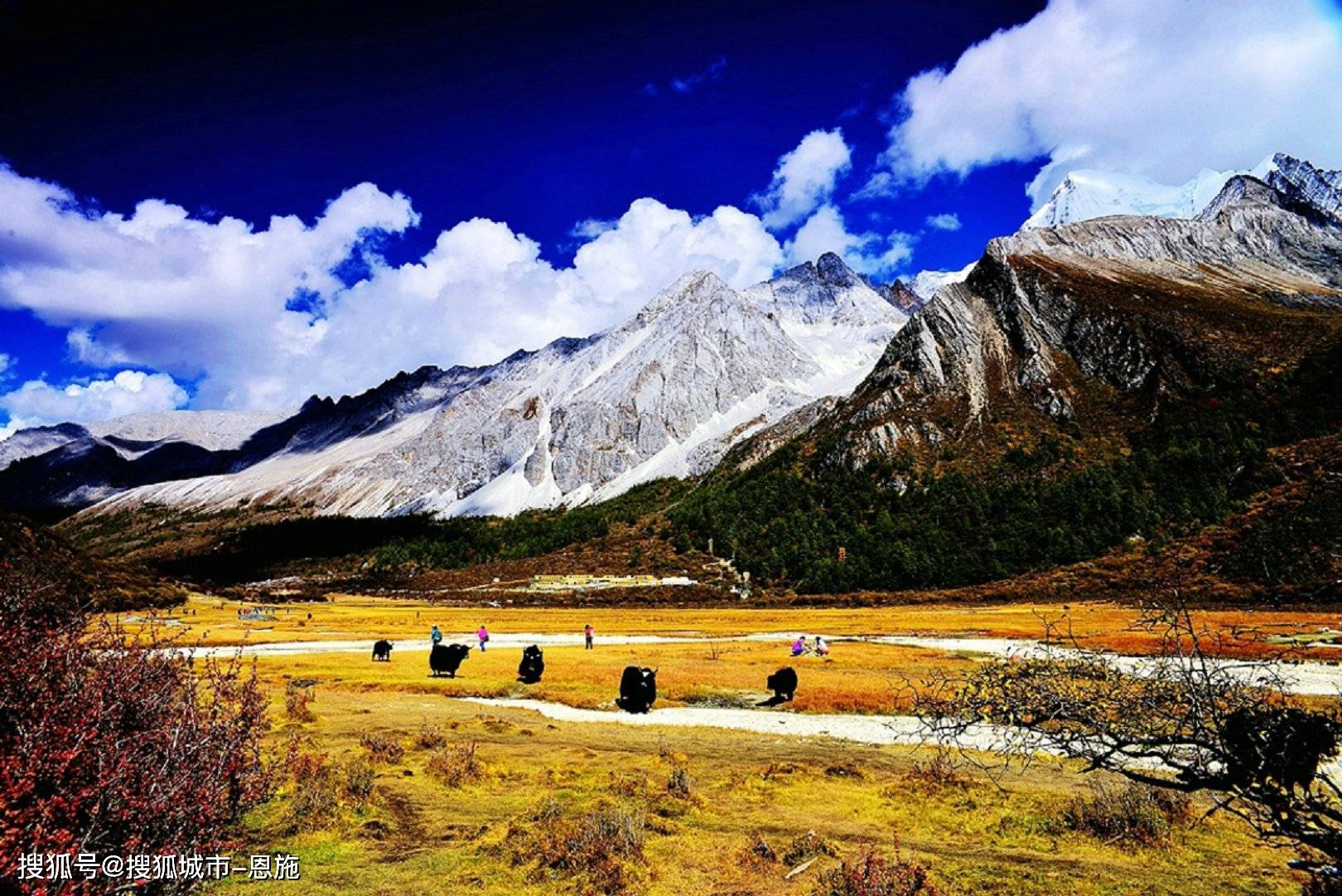 这里有着世界闻名的九寨沟,黄龙,峨眉山等5a级景区,还有成都的宽窄