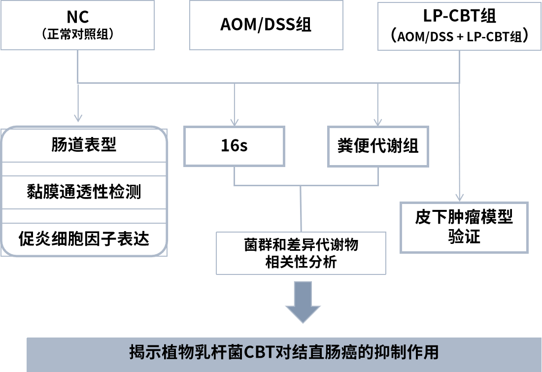 抑制作用图片