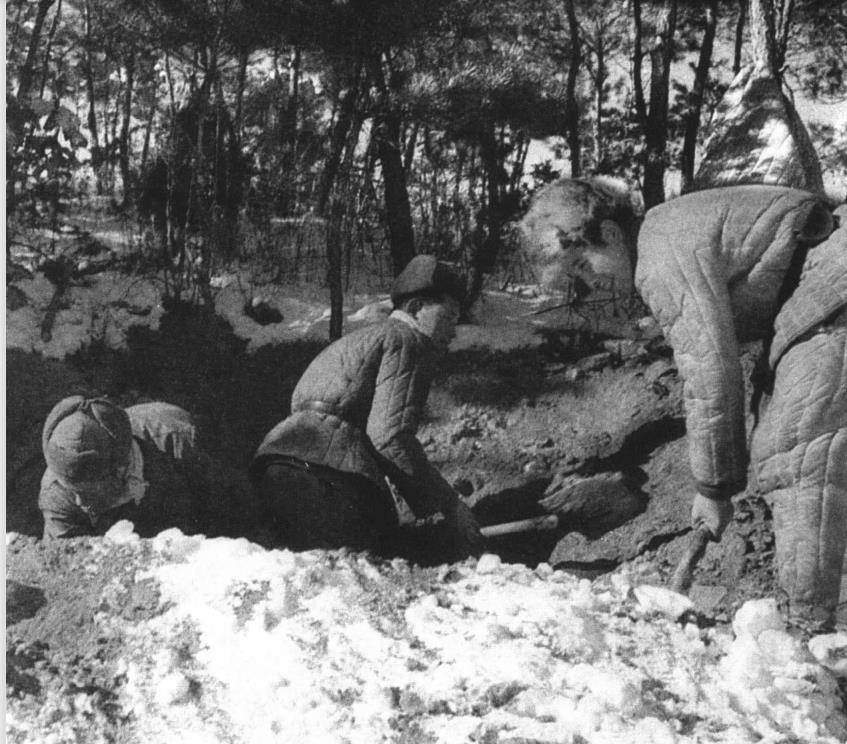 云山之战:四野王牌对阵美军常胜师,敌人尸体装了八卡车