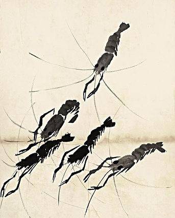 画虾按个数卖,顶多送只臭虾,如今一只卖156万_齐老_性格_价格