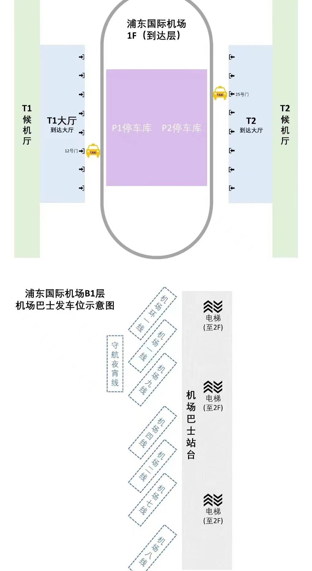 上海机场大巴时刻表图片