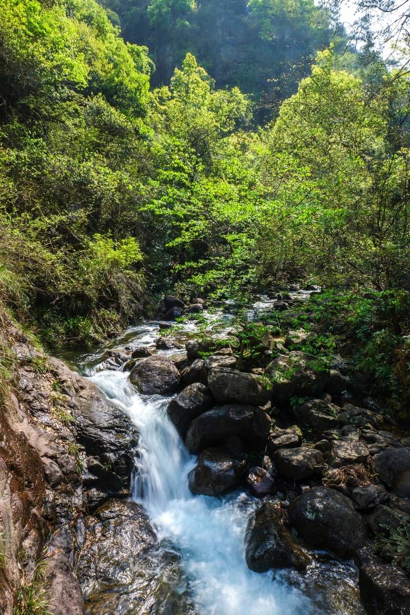 初夏,来桐庐遇见大奇山