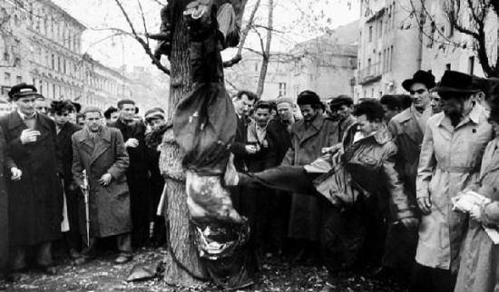 1956年处理匈牙利危机 苏联为何杀了一个回马枪_波兰_穆尔卡_事件