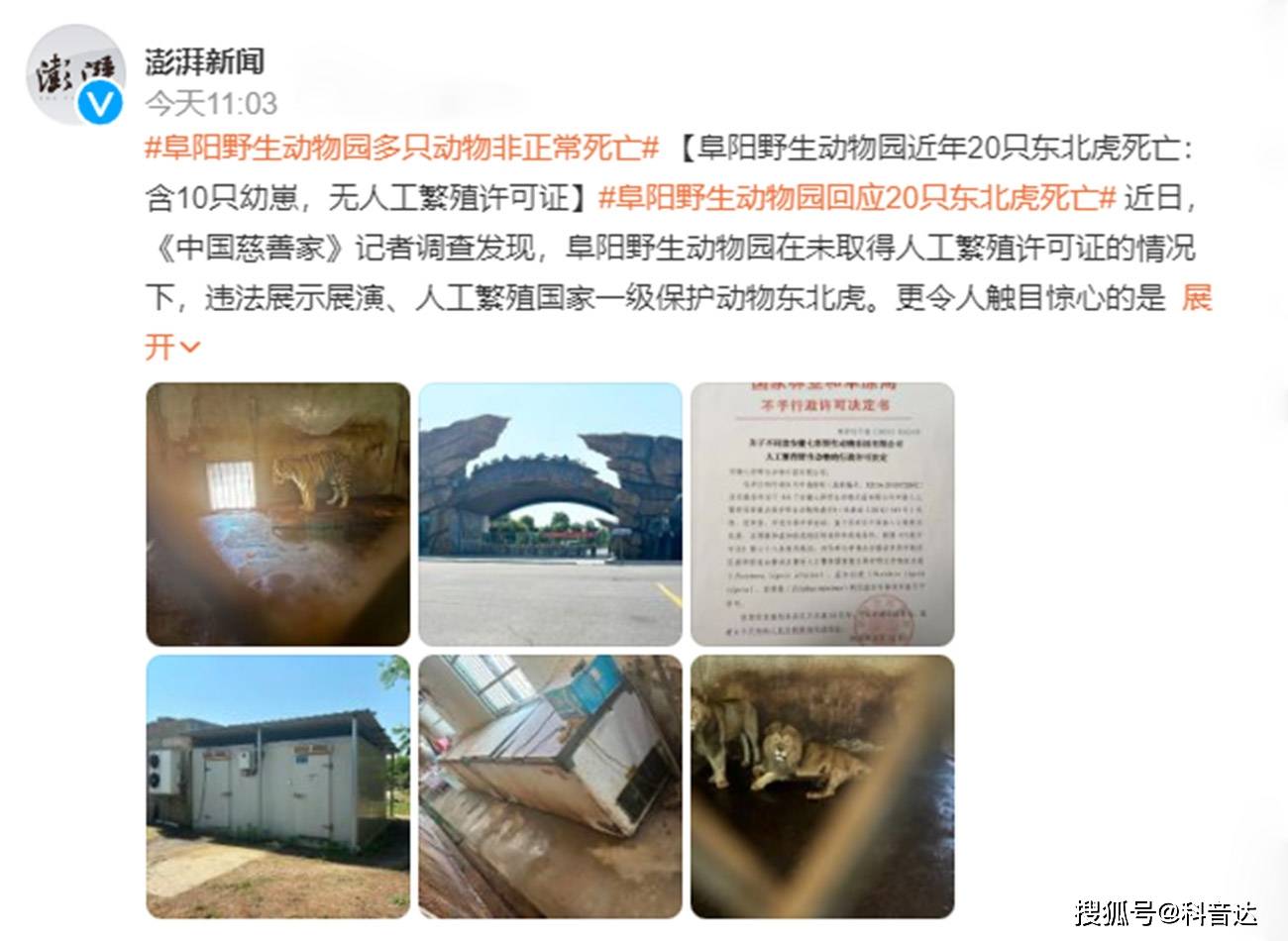 阜阳野生动物园多只动物死亡原因存疑,动物园管理存在哪些漏洞?