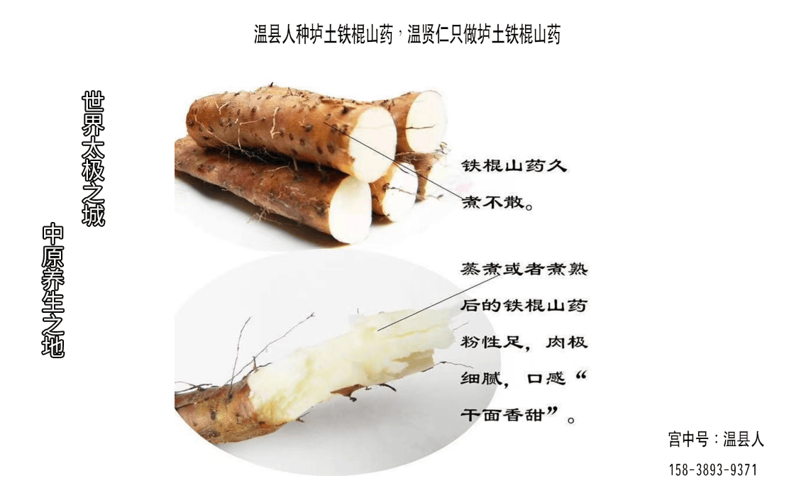 铁棍山药的功效与作用图片