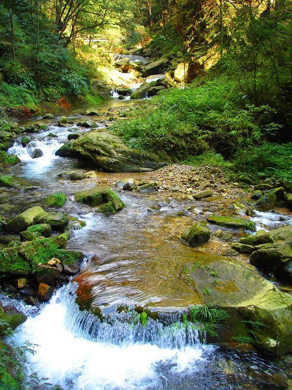 必访景点与未知美景深度探索,张家界旅游完全指导_导游_建议_天门