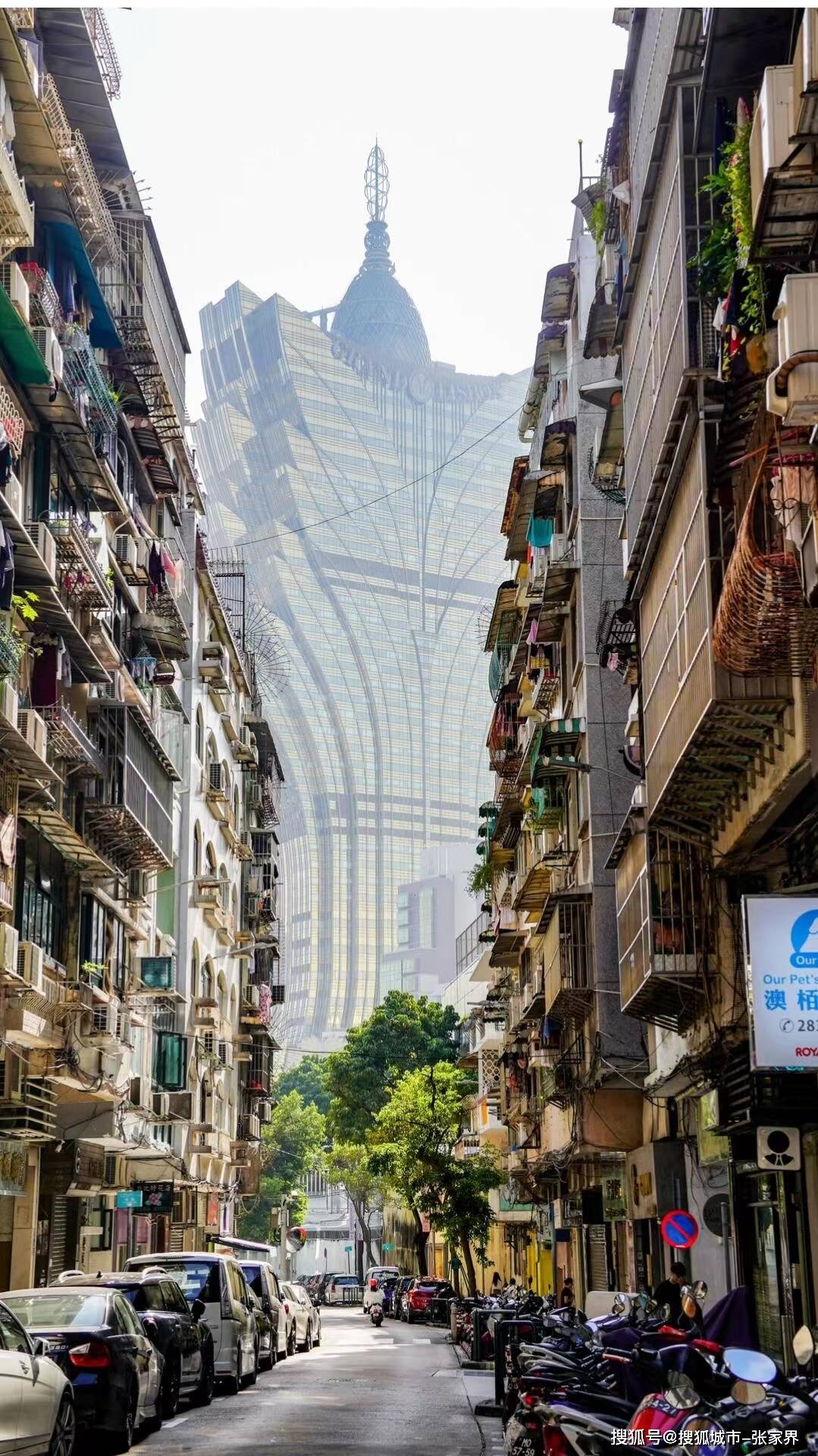 但是,香港的整体消费水平比大陆高不少,所以我找到了一位叫小梁的导游
