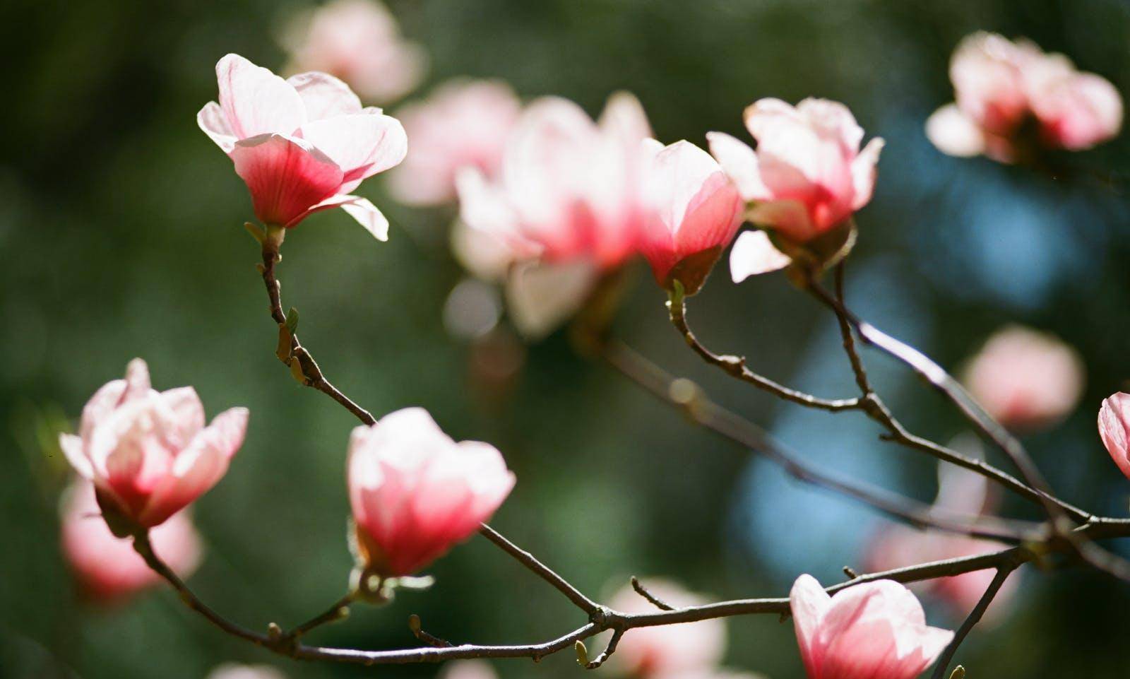 而每一个人都不是孤立存在的,每个人都会遇到一些对自己很重要的人.