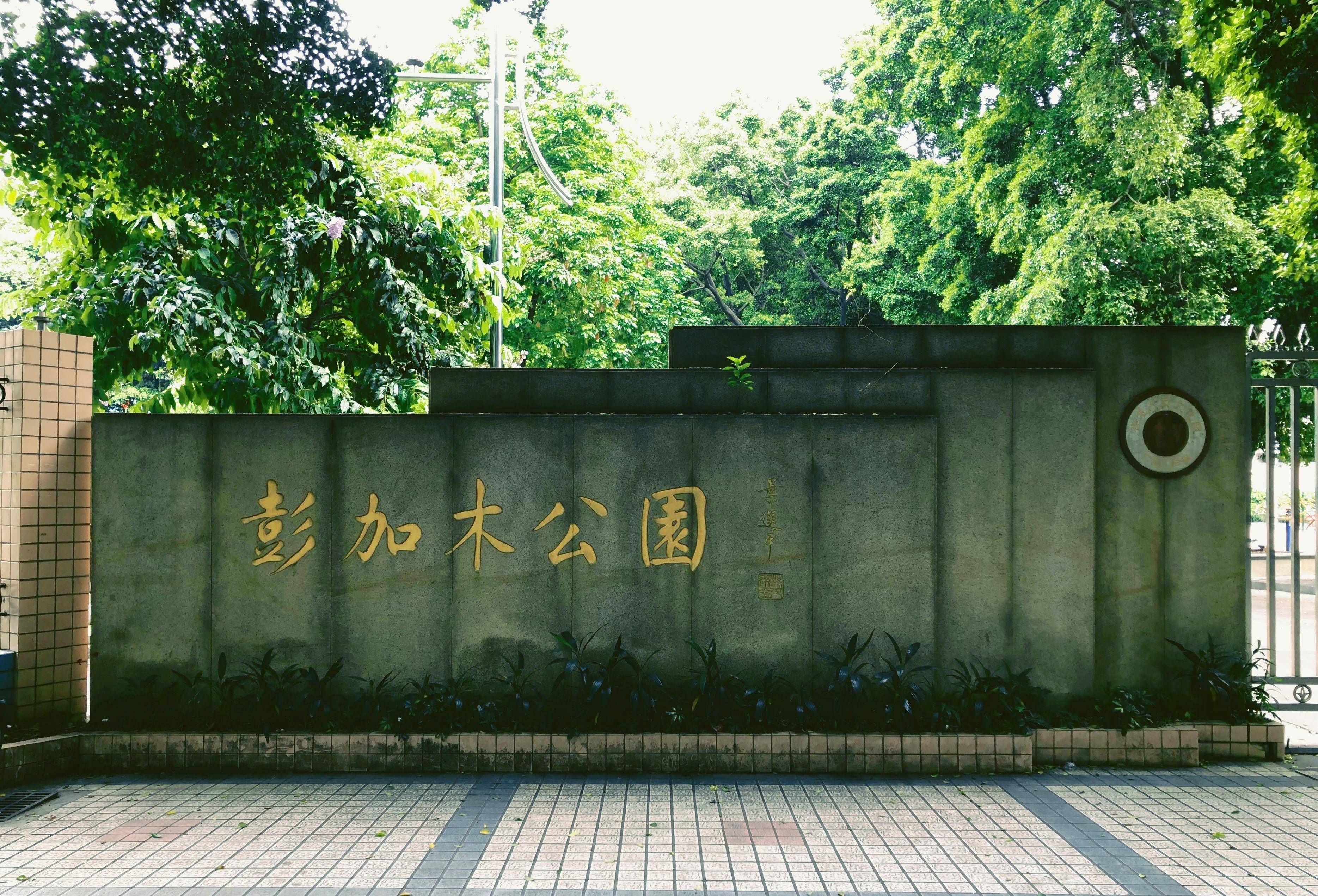 在如今的槎龙村,有彭加木公园,彭加木铜像,彭加木纪念中学,彭加木故居