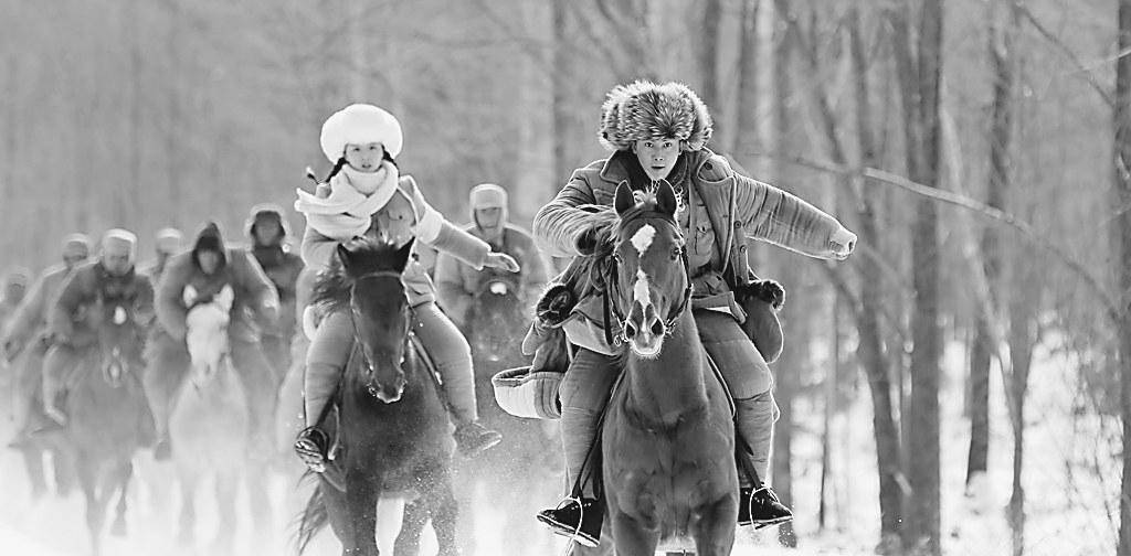 我军初进东北时,东北的154个县有100多个县有"政治土匪"盘踞.