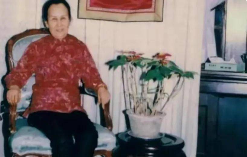 蓝妮:十八岁被母亲卖掉,离异后跟随孙科无名分,30岁成为女豪门