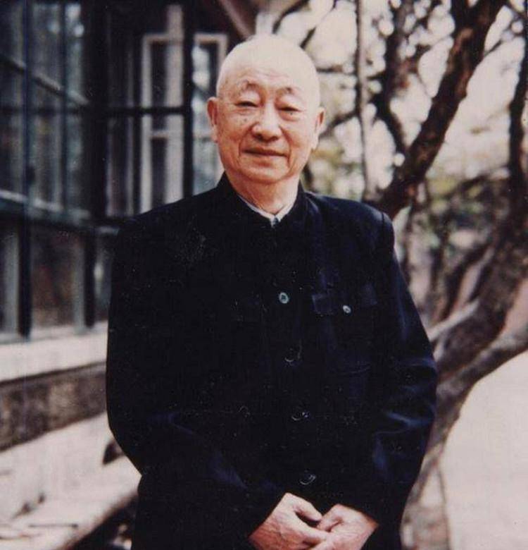 儿子战死沙场,母亲伤心欲绝,17年后警卫员上门:司令接您入京_徐深吉