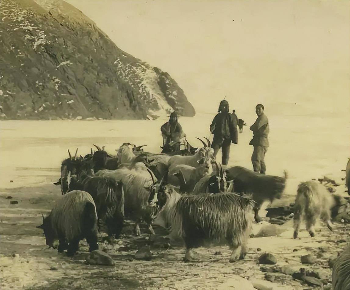 临终前,王树声问妻子:找到三个救命恩人了吗