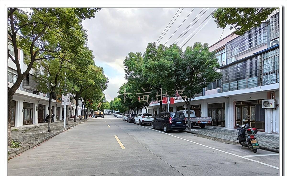 "仲草走天下,一席创世界"-仲一村(宁波市海曙区古林镇)