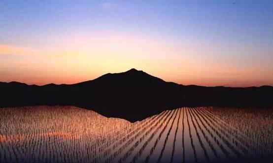 每年都是日本倒数第一,想借熊猫来提高人气,茨城为什么这么惨?