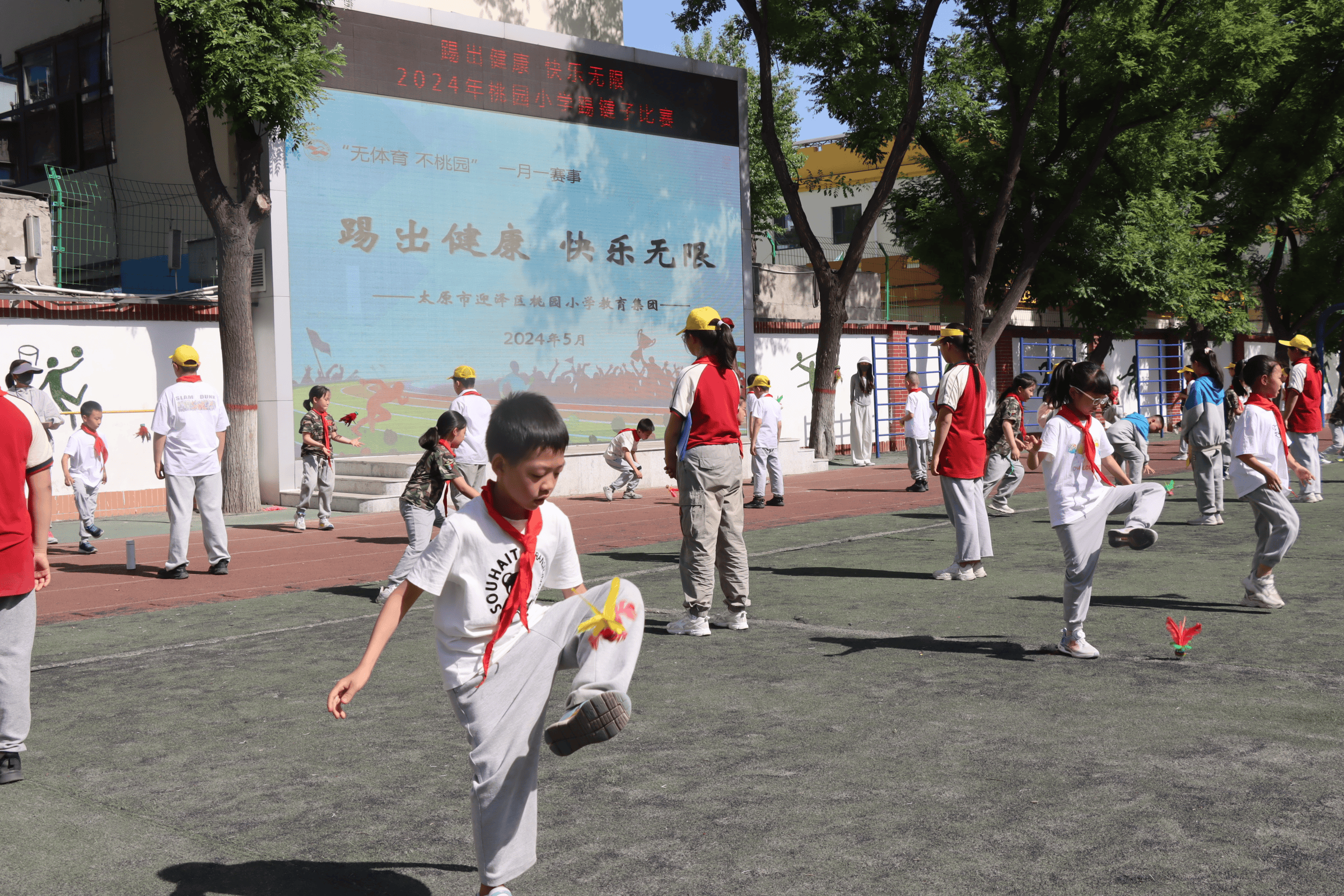 镇江桃园小学图片