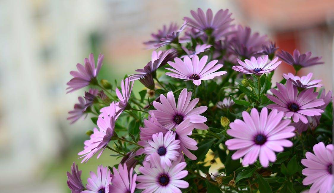 及时止损,是一个女人最高级的活法