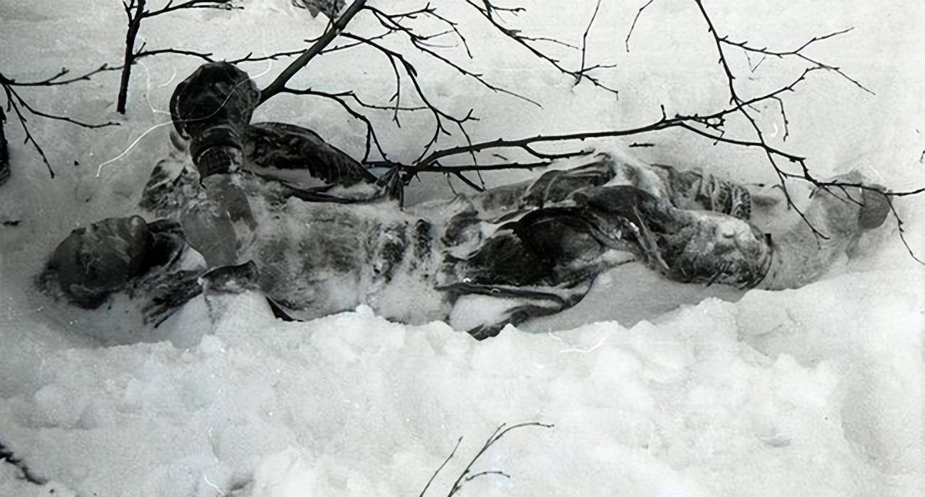 苏联悬案:9名登山员疑似遭某种生物重伤而亡,离奇的是衣服完好