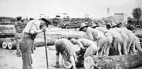 晚清时期华工的一部血泪史:海外"猪仔"