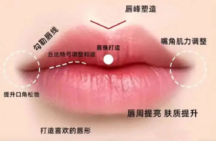 一个好看的唇形基本都具备以下几种特征:高良